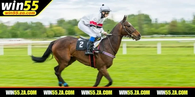 Nắm rõ các loại kèo khi tham gia cá cược